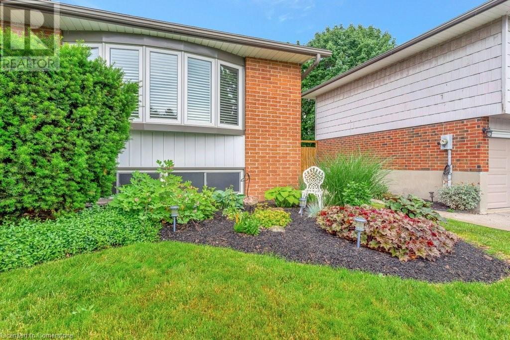 6 MEADOW Crescent