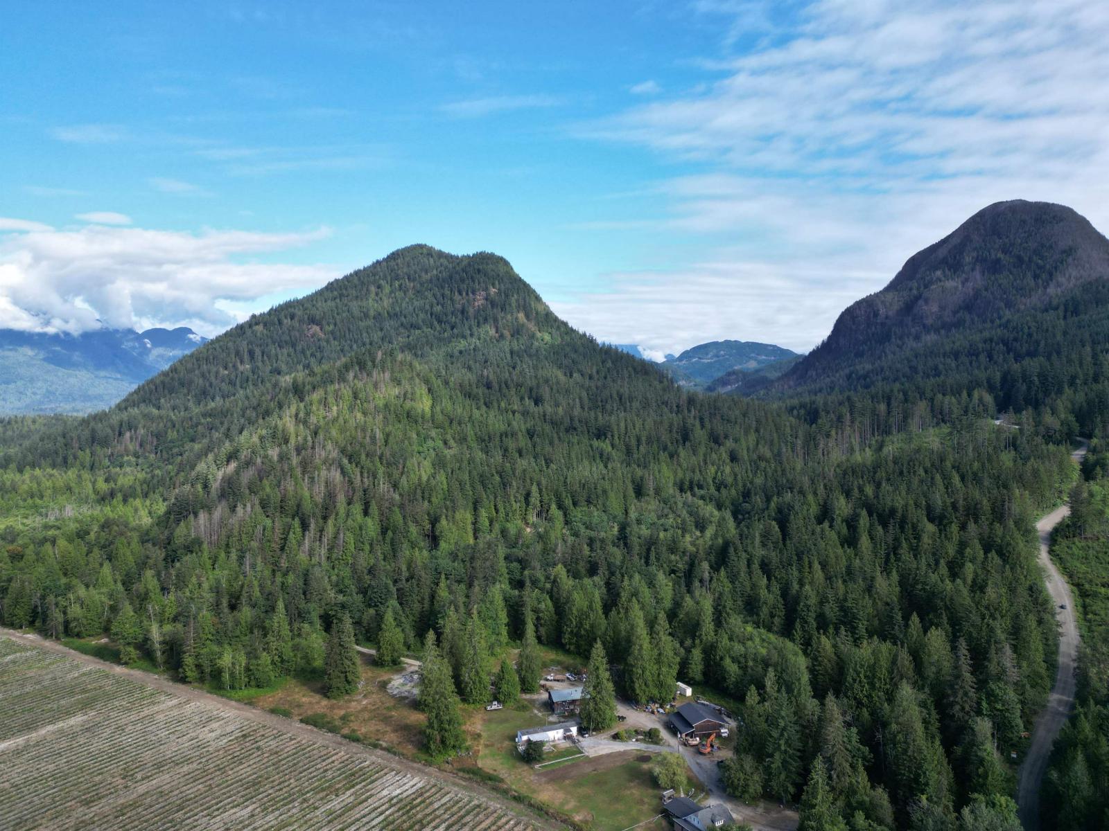 241AC SYLVESTER ROAD