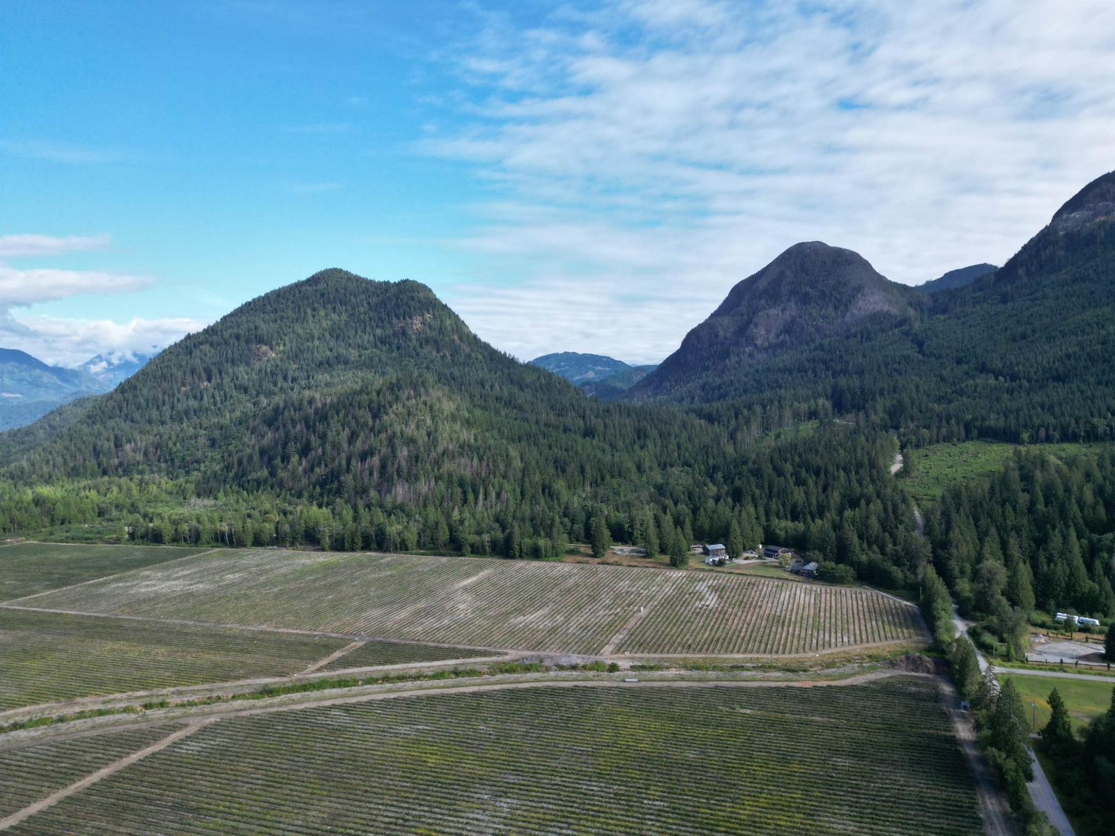 241AC SYLVESTER ROAD