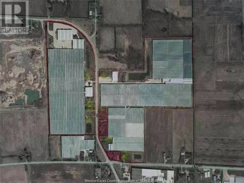 1475 COUNTY RD 34 Kingsville ON N0P2G0