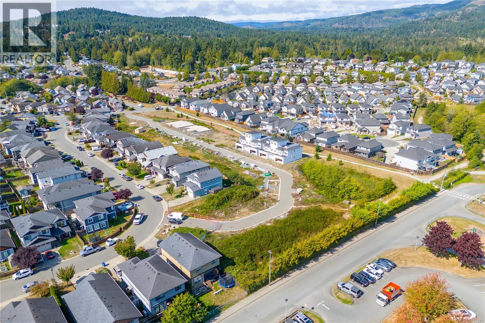 Lot 17 Steeple Chase