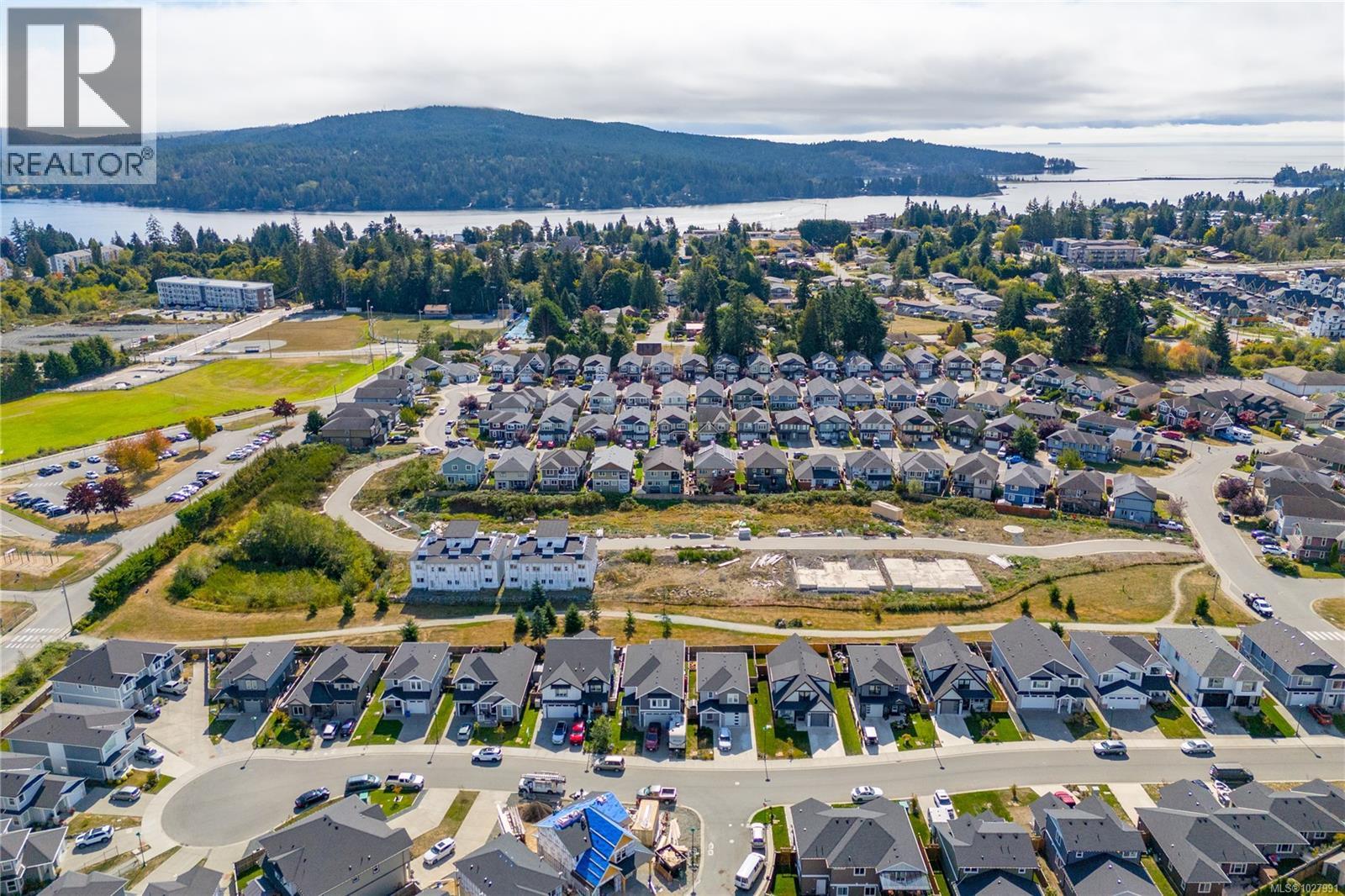 Lot 17 Steeple Chase