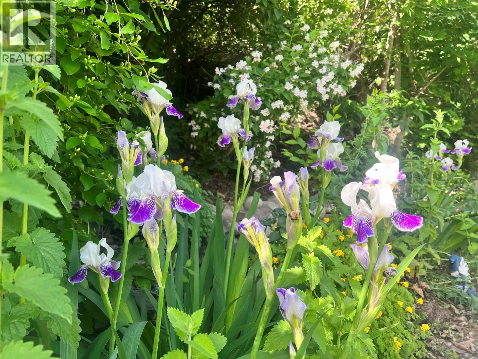 12612 Giants Head Road Unit# 3