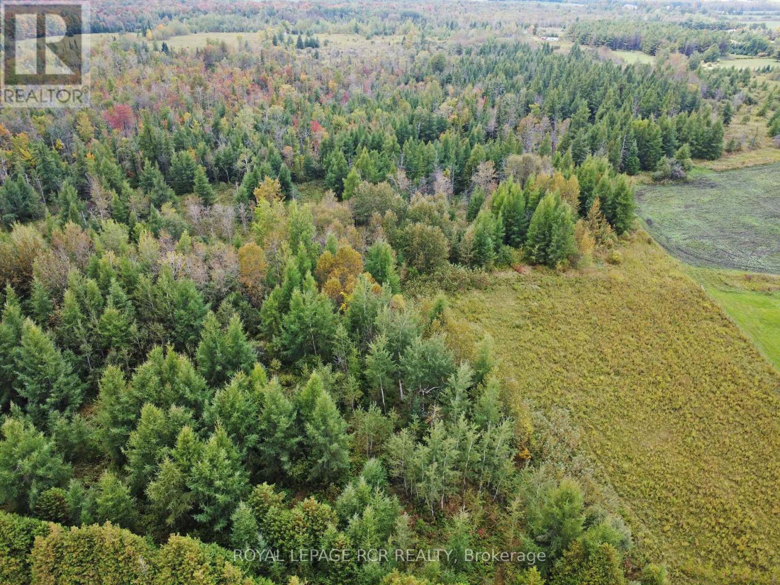 1125XX GREY ROAD 14 ROAD