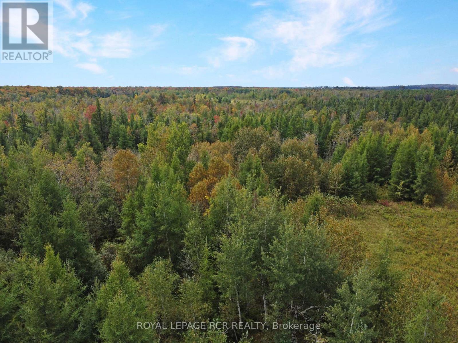 1125XX GREY ROAD 14 ROAD