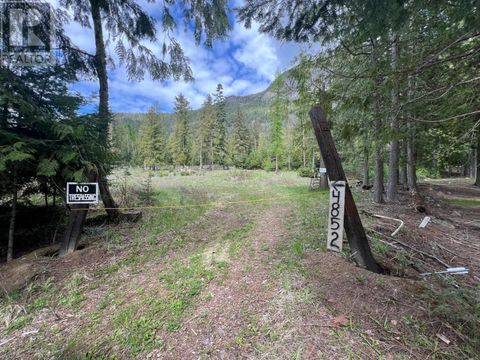 4852 48TH Street Canyon BC V0B1C1