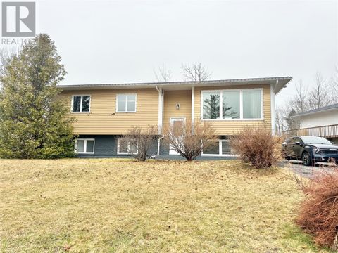 115 Goodyear Avenue Grand Falls-Windsor NF A2A1J5