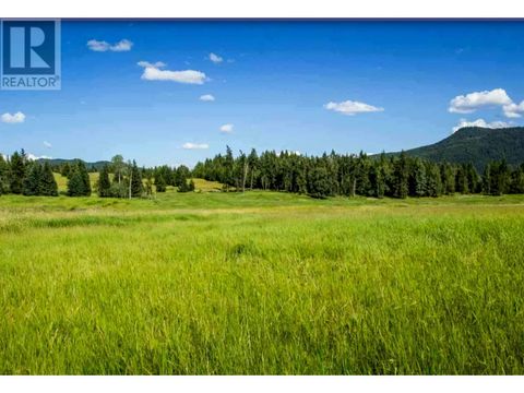 3961 CANIMVIEW DRIVE Forest Grove BC V0K1J0