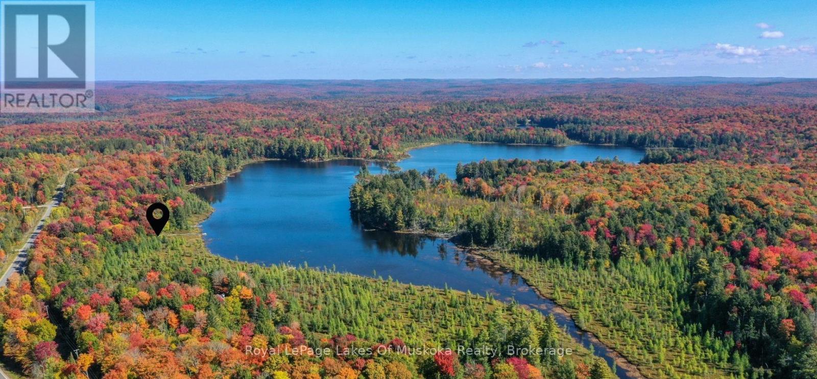 1420 LIMBERLOST ROAD