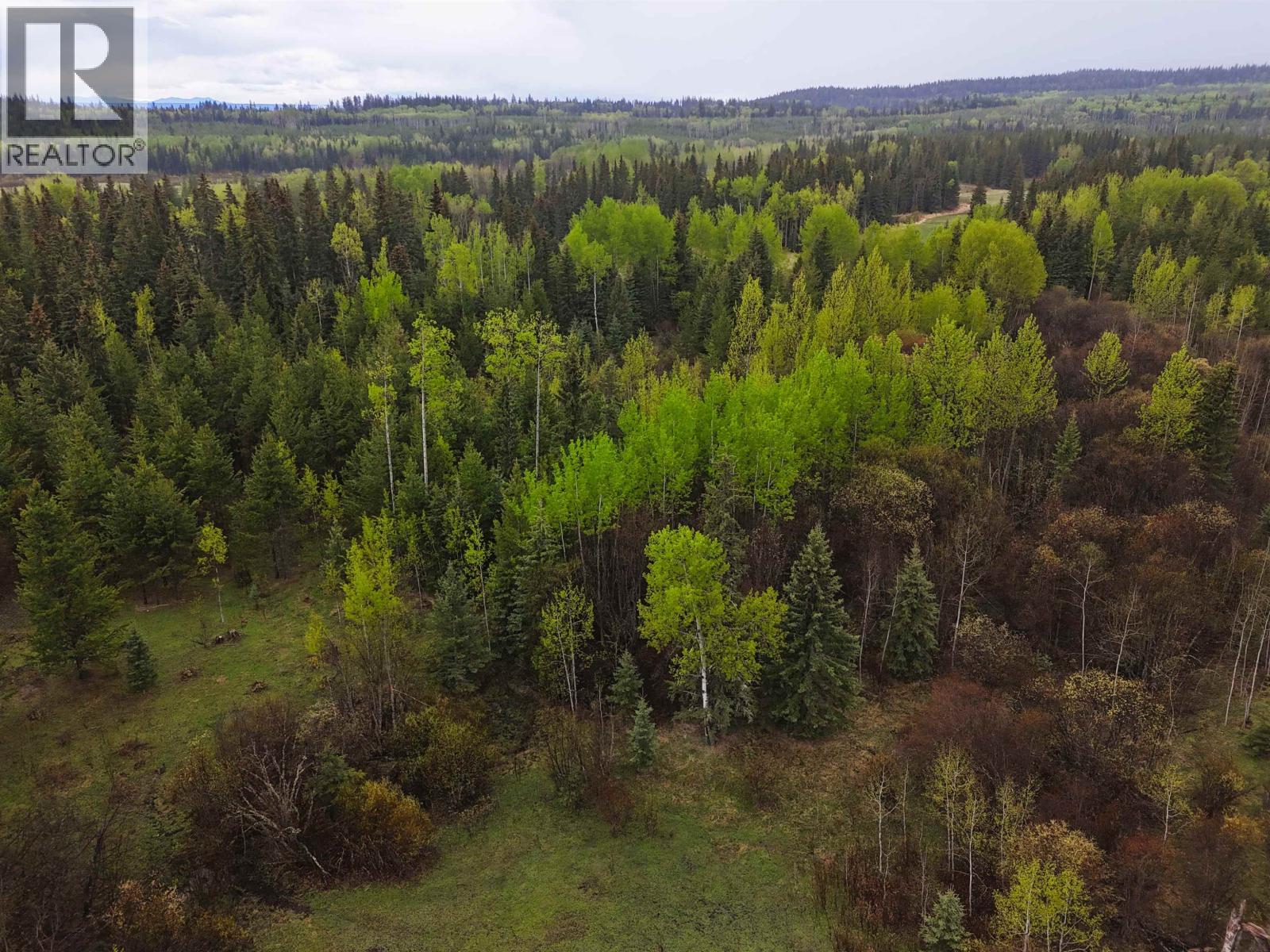 2954 SPOUT LAKE ROAD
