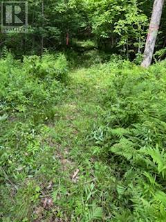 1085 OLD MINE ROAD