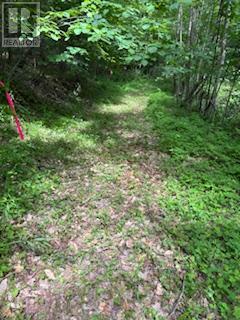 1085 OLD MINE ROAD