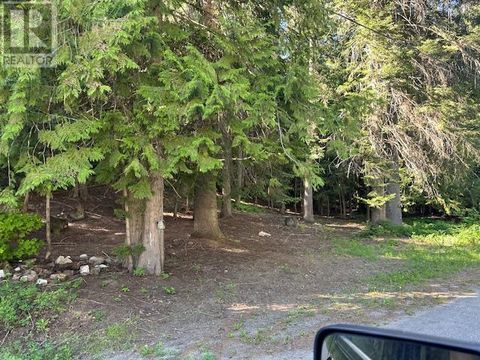 Lot A MACLURE Avenue Salmo BC V0G1Z0
