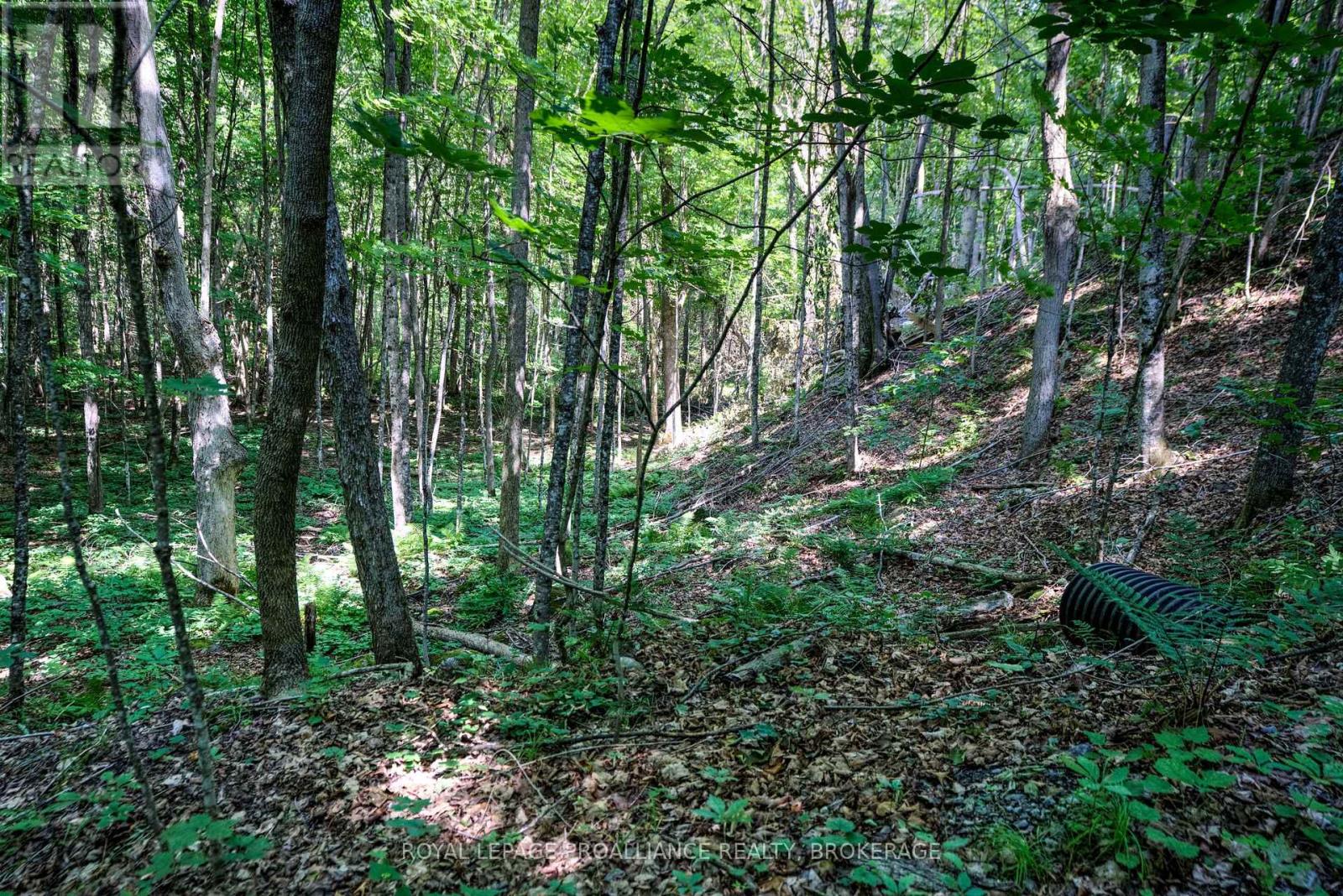 98 ROCKY RIDGE LANE