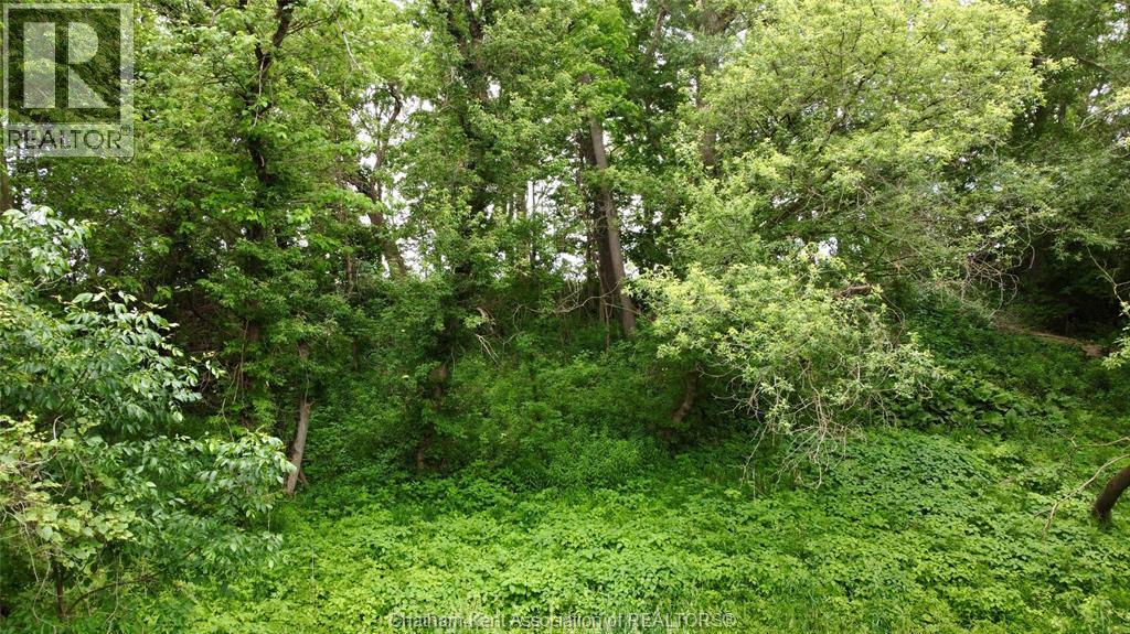 0 RIVER LINE