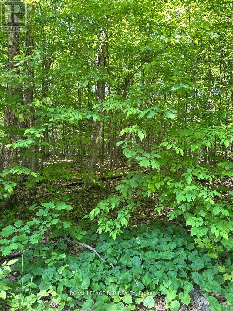 PT LOT 6 CON 10 MONMOUTH MADILL ROAD