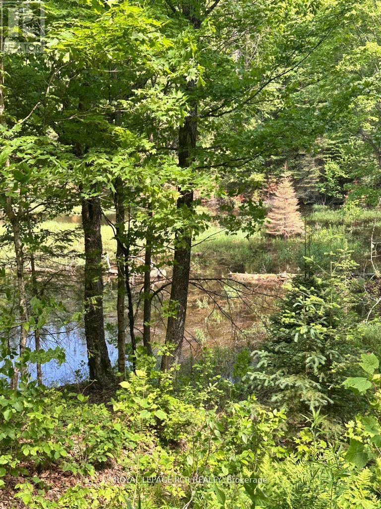 PT LOT 6 CON 10 MONMOUTH MADILL ROAD