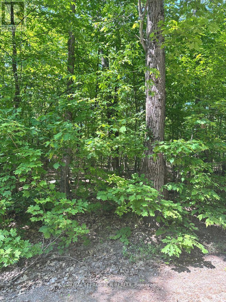 PT LOT 6 CON 10 MONMOUTH MADILL ROAD