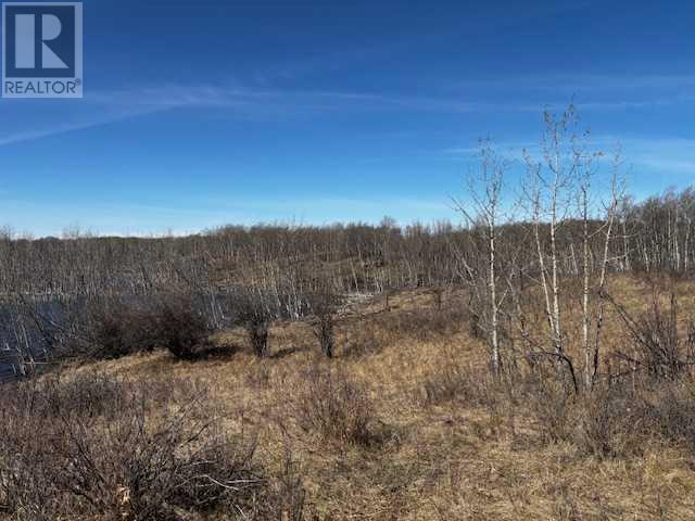 23425 Highway 590
