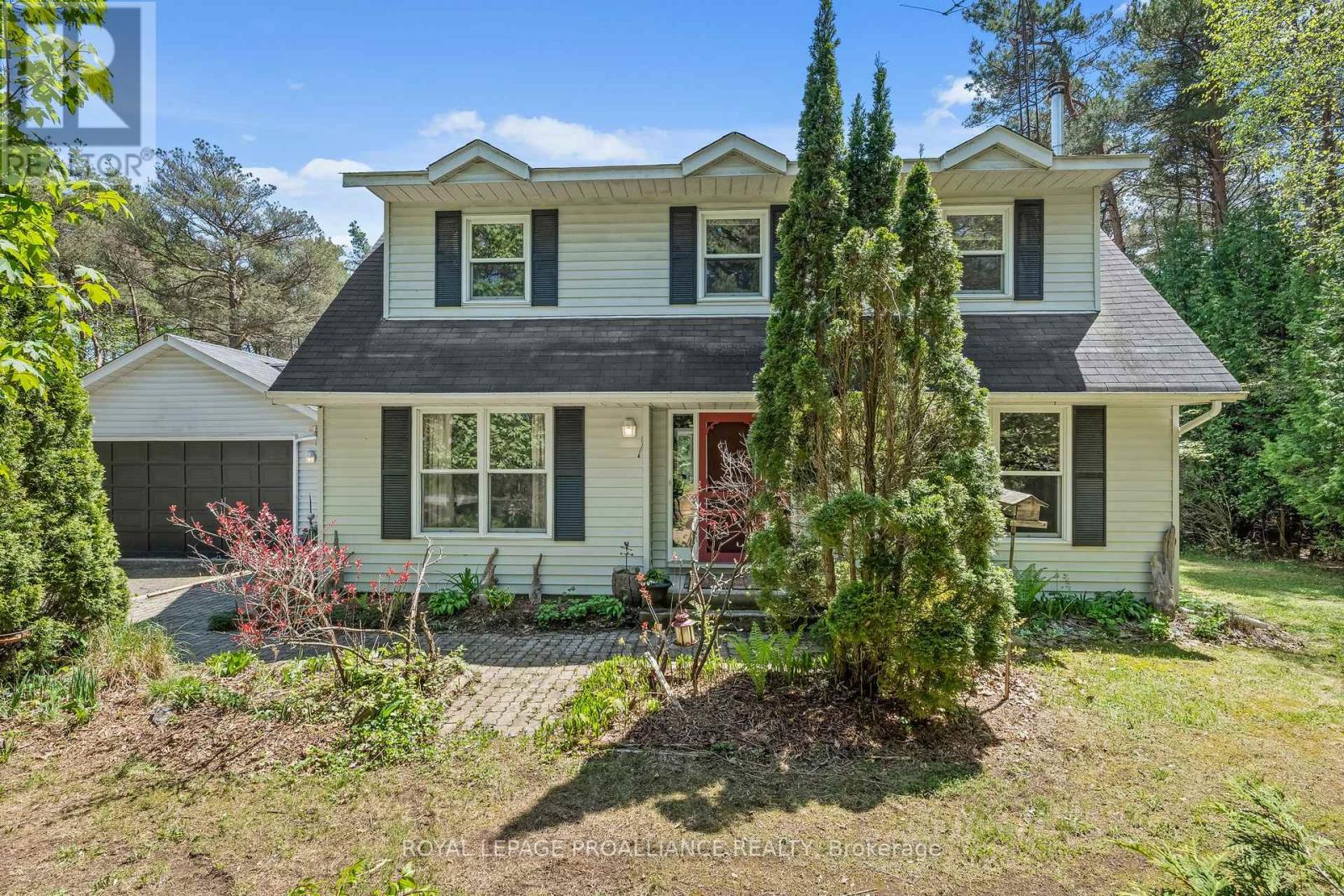 123 PINE TREE LANE
