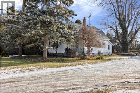 424 County Rd 14 Kingsville ON N0R1B0