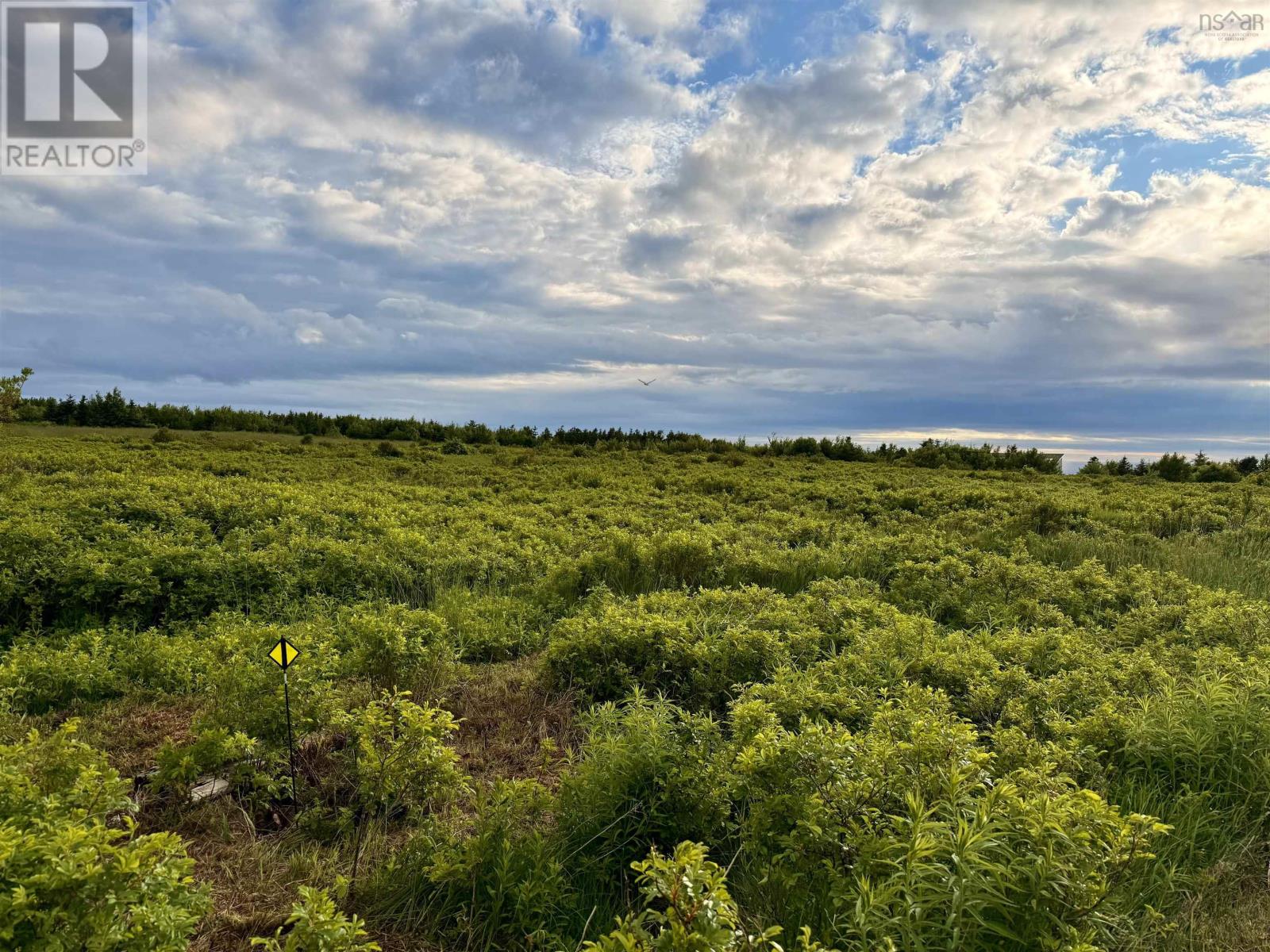 Photo 1 of 13 — CHEMIN SIMEON AUCOIN Road, St. Joseph du Moine, NS B0E3A0