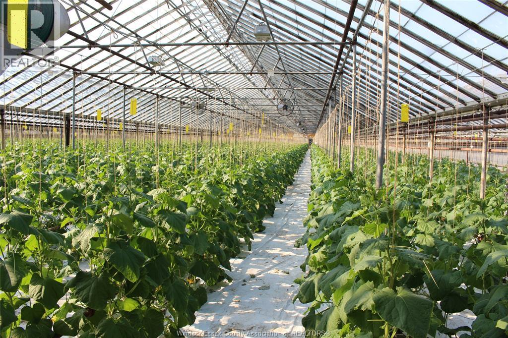 725 Mersea Rd 6 East