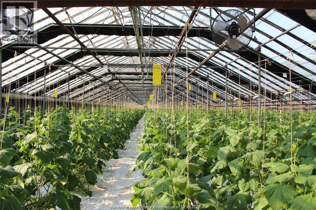 725 Mersea Rd 6 East