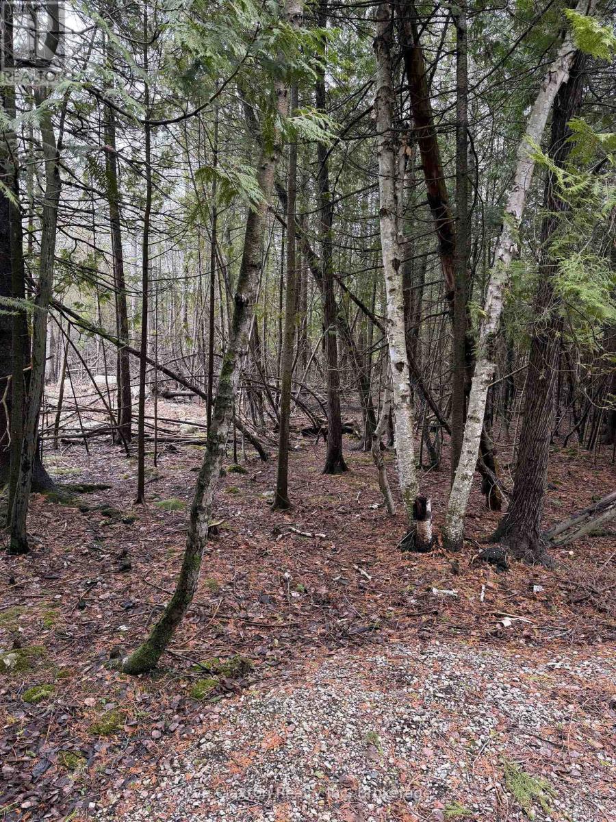 23 PARK LOT CAMERON DRIVE