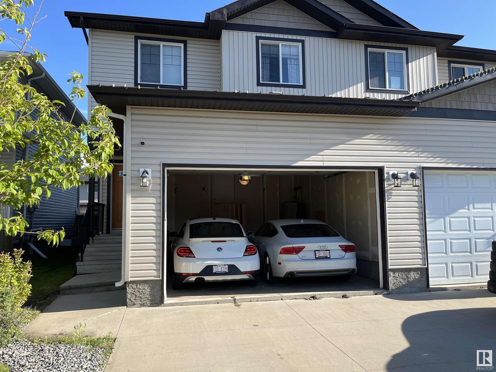 37 ROSEBERRY