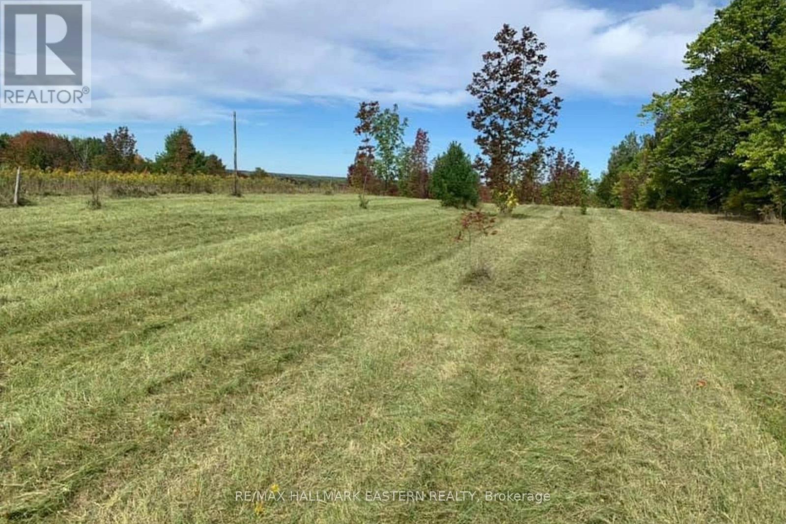 1737 THIRTEENTH LINE