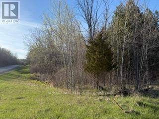 3439 COUNTY RD 3