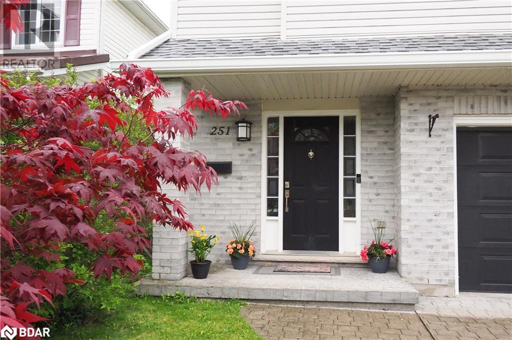 251 GREY FOX Drive