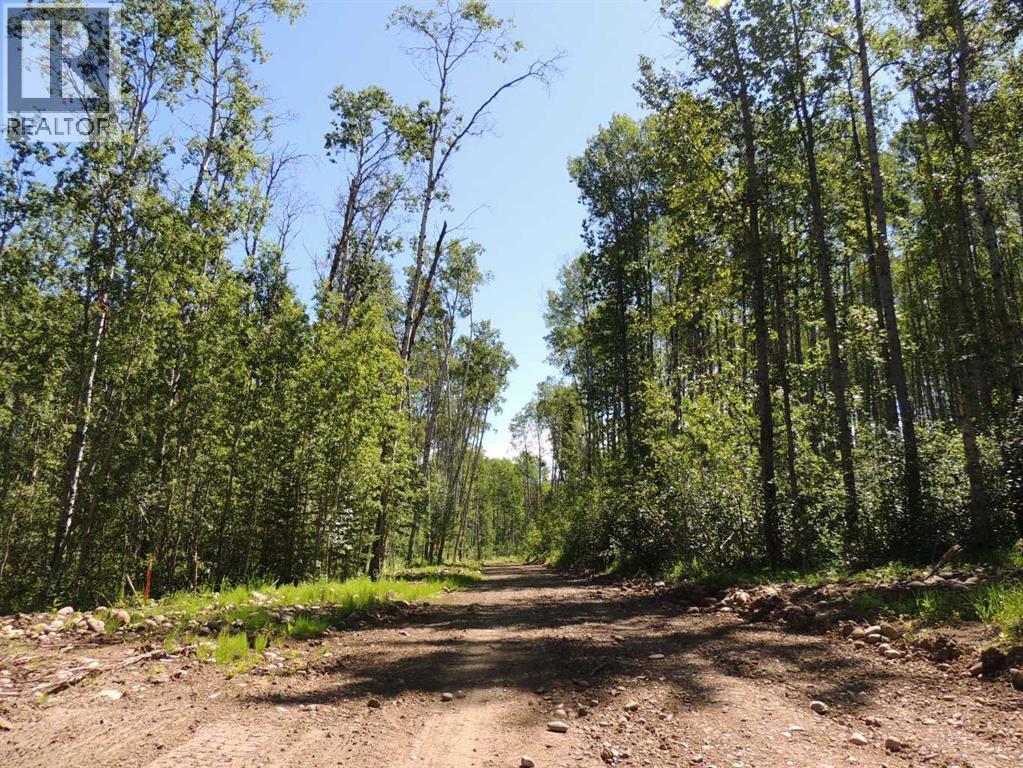 Lot 33, Wapiti River SW-21-69-10-W6