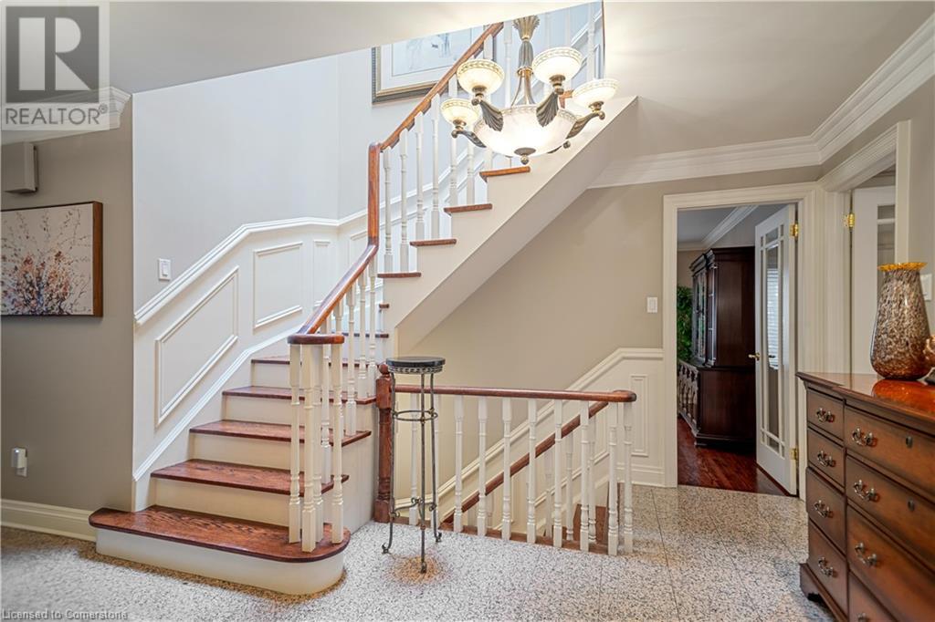 56 CAMEO Street
