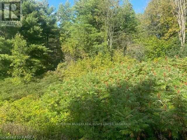 000 COUNTY RD 11, JONES FALLS ROAD