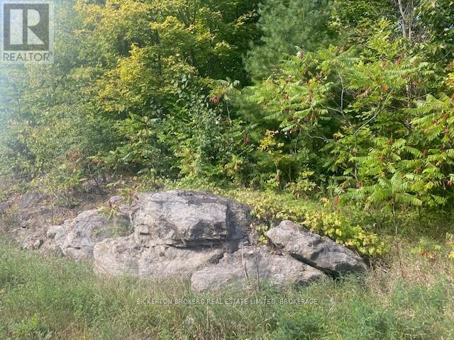 000 COUNTY RD 11, JONES FALLS ROAD