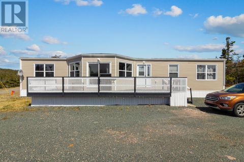 55 Barry's Island North Road Avondale NF A0A1B0