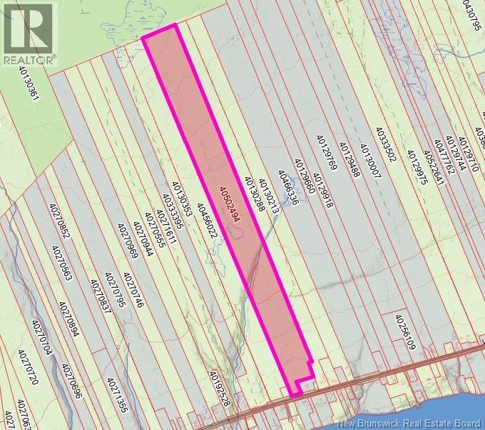 140 Acres Hwy 425 - Photo 2