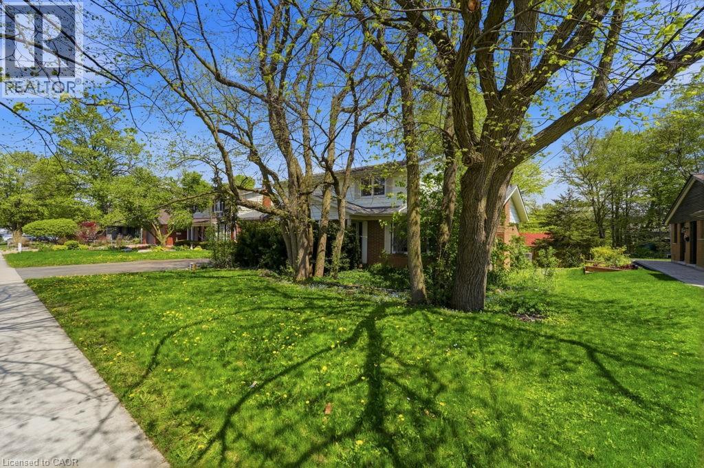 46 BIRCHCLIFF Avenue