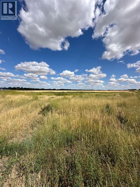 Lot 6, 12003 Range Road 60A Rural Cypress County AB T1A0H5