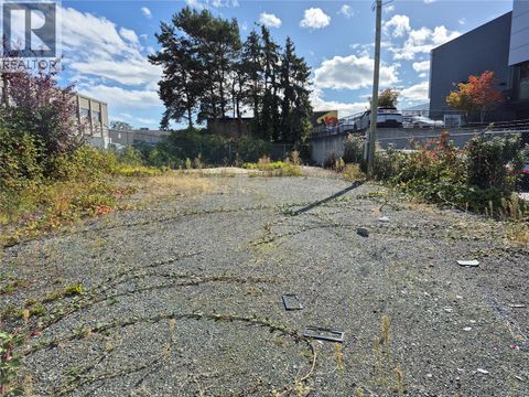 767 Audley St Saanich BC V8X2V4