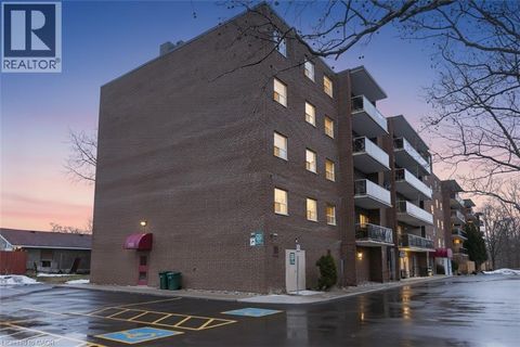 793 COLBORNE Street Unit# 205 Brantford ON N3S7J3