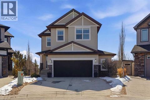 47 Drake Landing Crescent Okotoks AB T1S0E7