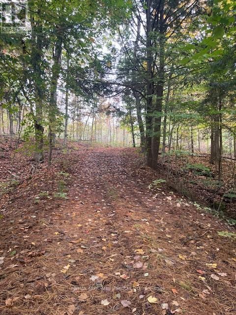 1738 COUNTY 2 ROAD Front of Yonge ON K0E1R0