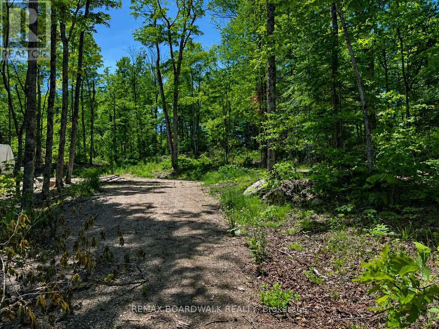 0 BUCKSHOT LAKE ROAD