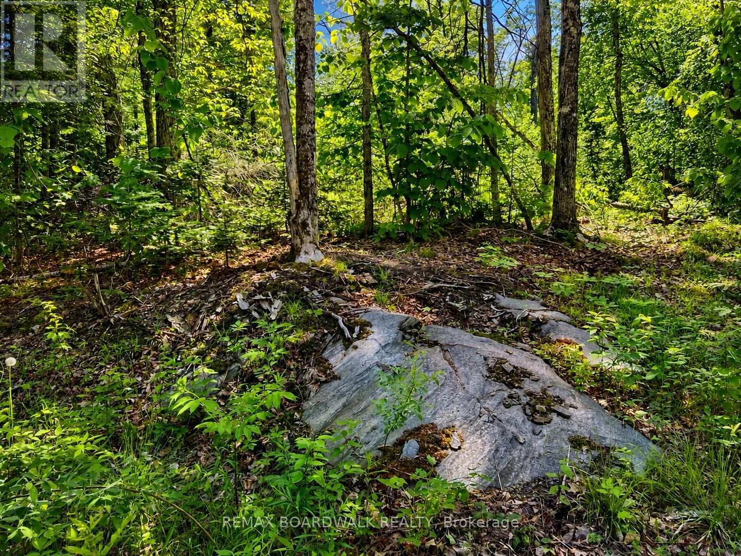0 BUCKSHOT LAKE ROAD