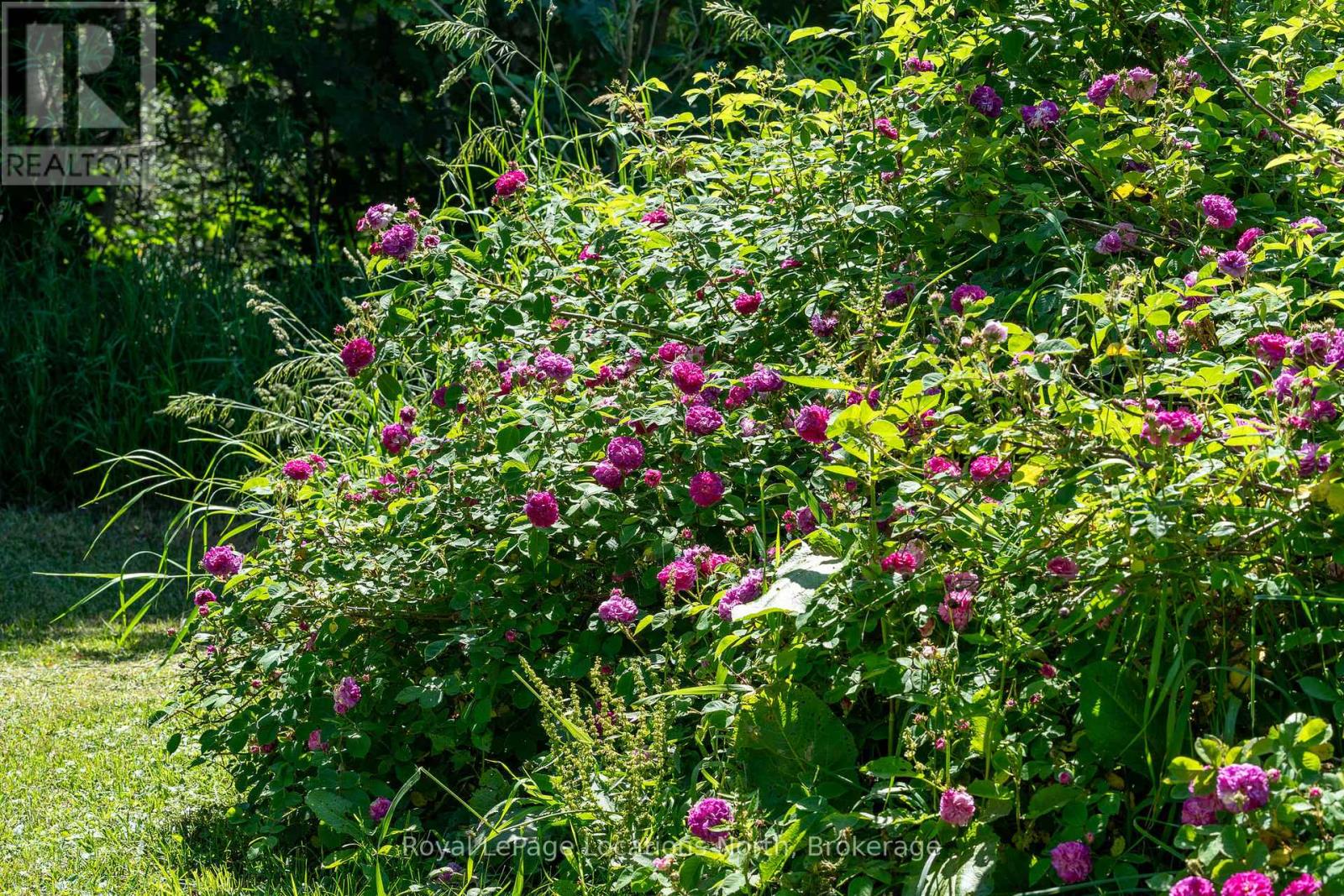 138237 GREY ROAD 112