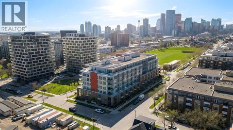 518, 88 9 Street NE Calgary AB T2E4E1