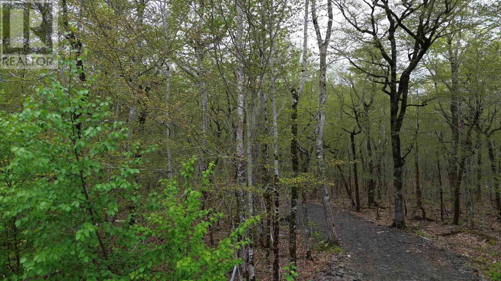 Photo 1 of 4 — Lot 46 Turner Point Road, Walden, NS B0J2E0